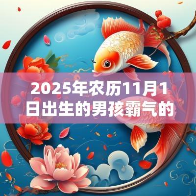 2025年农历11月1日出生的男孩霸气的名字好听有寓意