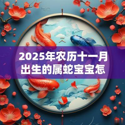 2025年农历十一月出生的属蛇宝宝怎么起名诗经楚辞取名