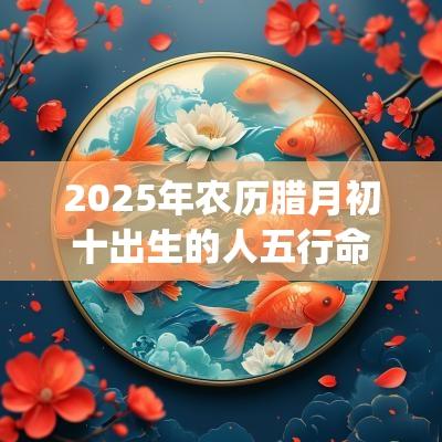 2025年农历腊月初十出生的人五行命理解析缺_取名推荐