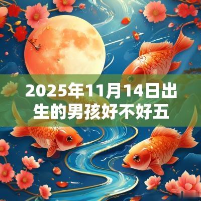 2025年11月14日出生的男孩好不好五行不缺高分取名
