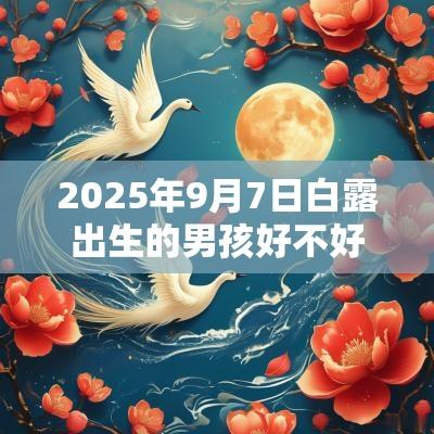 2025年9月7日白露出生的男孩好不好五行八字周易起名