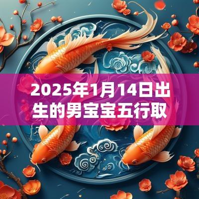 2025年1月14日出生的男宝宝五行取名打分最佳宜用字