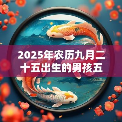 2025年农历九月二十五出生的男孩五行起名好听的名字