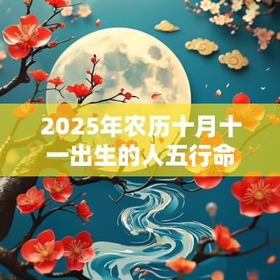 2025年农历十月十一出生的人五行命理解析缺火取名推荐