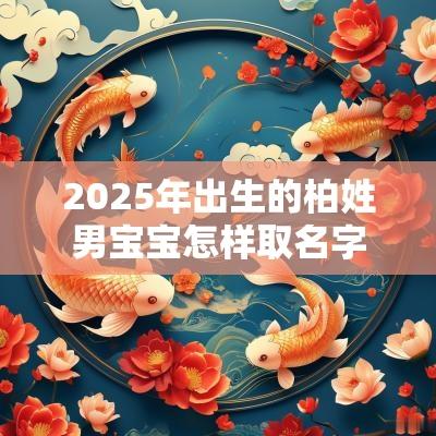 2025年出生的柏姓男宝宝怎样取名字独一无二的男孩名字