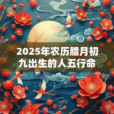 2025年农历腊月初九出生的人五行命理属性如何取名旺运