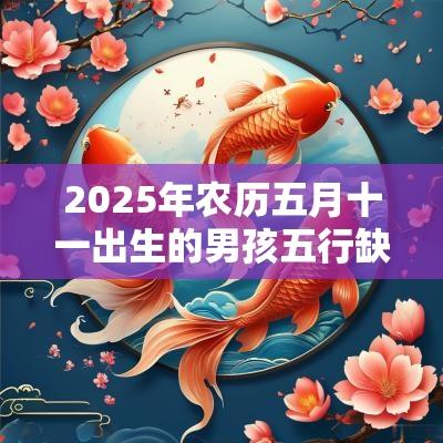 2025年农历五月十一出生的男孩五行缺什么今日八字取名
