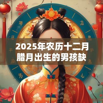 2025年农历十二月腊月出生的男孩缺什么取名带什么字好