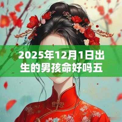 2025年12月1日出生的男孩命好吗五行缺木火吉利取名