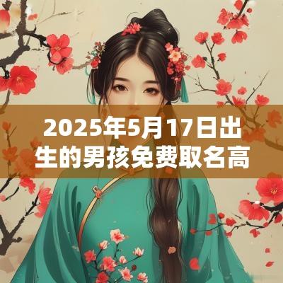 2025年5月17日出生的男孩免费取名高分男宝名字推荐