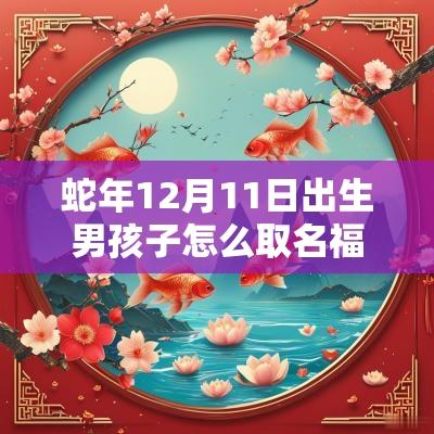 蛇年12月11日出生男孩子怎么取名福星高照的男宝宝名字