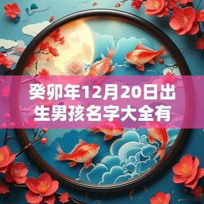 癸卯年12月20日出生男孩名字大全有诗意的男宝宝取名