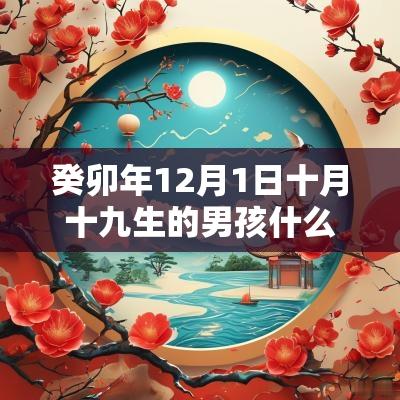 癸卯年12月1日十月十九生的男孩什么命霸气十足的名字