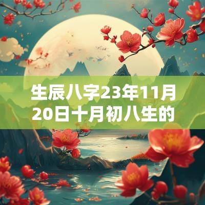 生辰八字23年11月20日十月初八生的女生五行旺缺详解