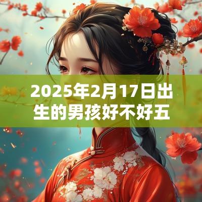 2025年2月17日出生的男孩好不好五行缺水高分取名