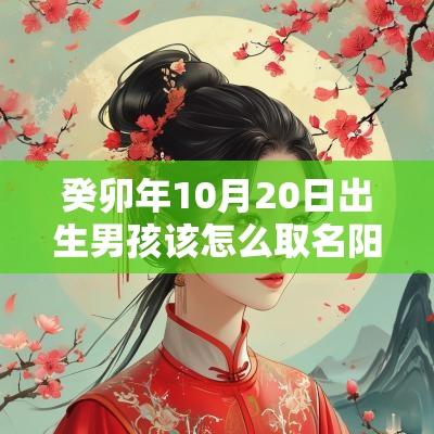 癸卯年10月20日出生男孩该怎么取名阳刚的男宝宝名字