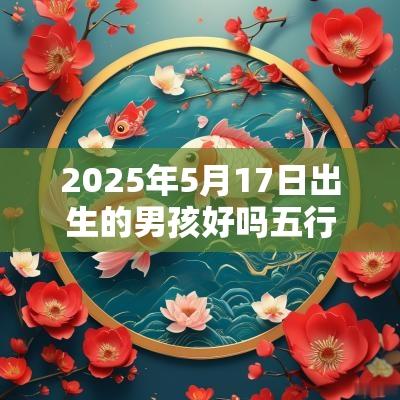 2025年5月17日出生的男孩好吗五行不缺怎样取名字