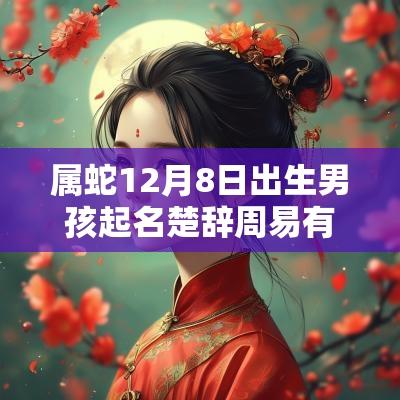 属蛇12月8日出生男孩起名楚辞周易有才能的男宝宝取名