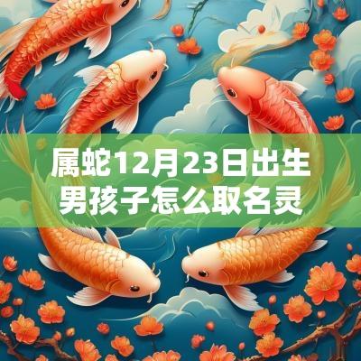 属蛇12月23日出生男孩子怎么取名灵巧敏捷的男宝宝名字