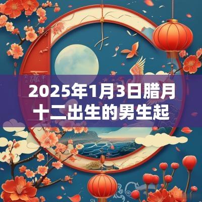 2025年1月3日腊月十二出生的男生起名属金取名大全