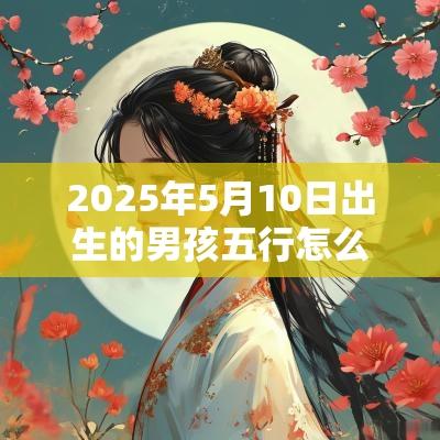 2025年5月10日出生的男孩五行怎么样缺木周易取名