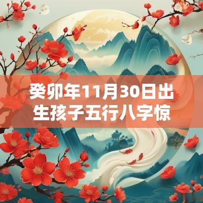 癸卯年11月30日出生孩子五行八字惊艳众生的男宝宝名字