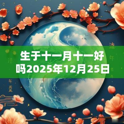 生于十一月十一好吗2025年12月25日出生命运解析