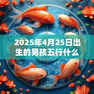 2025年4月25日出生的男孩五行什么命缺火周易取名