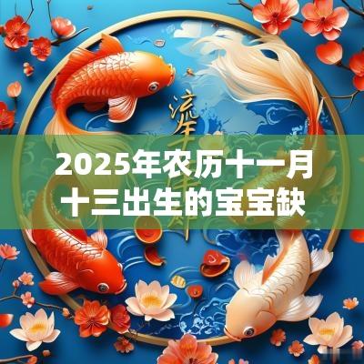 2025年农历十一月十三出生的宝宝缺什么取名如何补土