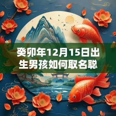 癸卯年12月15日出生男孩如何取名聪明的男宝宝名字