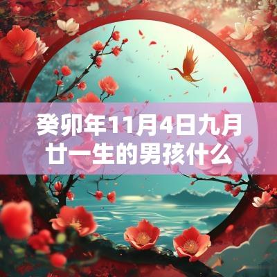 癸卯年11月4日九月廿一生的男孩什么命才华横溢的名字