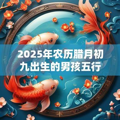 2025年农历腊月初九出生的男孩五行缺火取名豁达豪迈