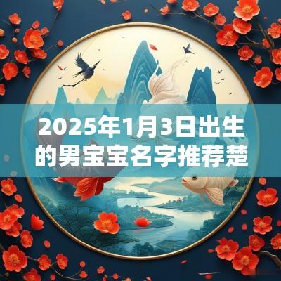 2025年1月3日出生的男宝宝名字推荐楚辞宝宝明分享