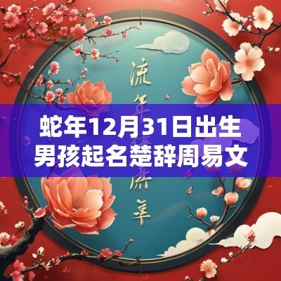 蛇年12月31日出生男孩起名楚辞周易文雅的男宝宝名字