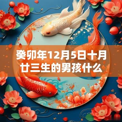 癸卯年12月5日十月廿三生的男孩什么命睿智博学的名字