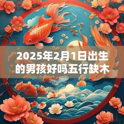 2025年2月1日出生的男孩好吗五行缺木火怎样取名字