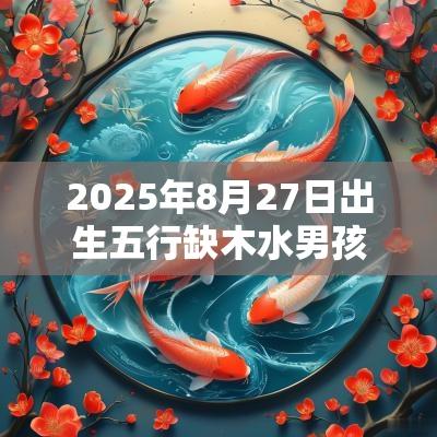 2025年8月27日出生五行缺木水男孩命运与八字取名字