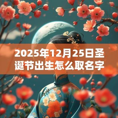 2025年12月25日圣诞节出生怎么取名字好听不俗气