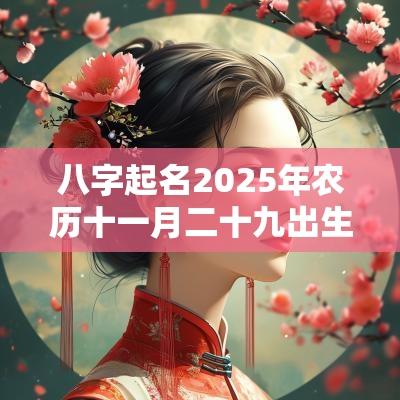 八字起名2025年农历十一月二十九出生的宝宝五行旺缺