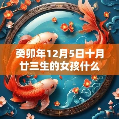 癸卯年12月5日十月廿三生的女孩什么命好运连连的名字