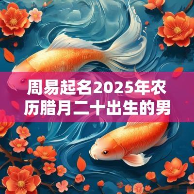 周易起名2025年农历腊月二十出生的男孩缺金取名推荐