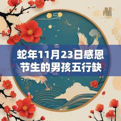 蛇年11月23日感恩节生的男孩五行缺火土今日取名宝典