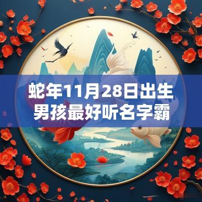 蛇年11月28日出生男孩最好听名字霸气的属蛇男生起名