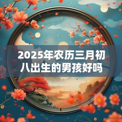 2025年农历三月初八出生的男孩好吗缺木取名测试打分