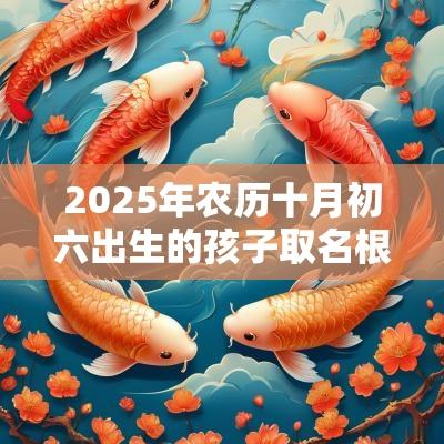 2025年农历十月初六出生的孩子取名根据生辰八字命理