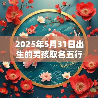 2025年5月31日出生的男孩取名五行不缺大气的名字