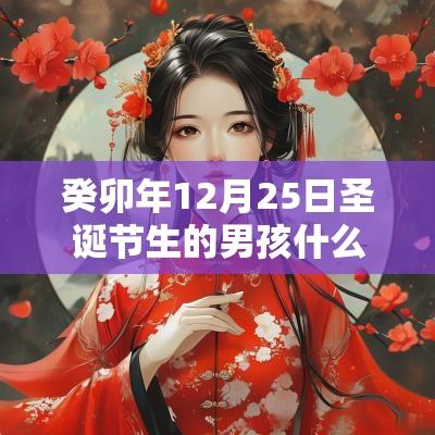 癸卯年12月25日圣诞节生的男孩什么命才思敏捷的名字