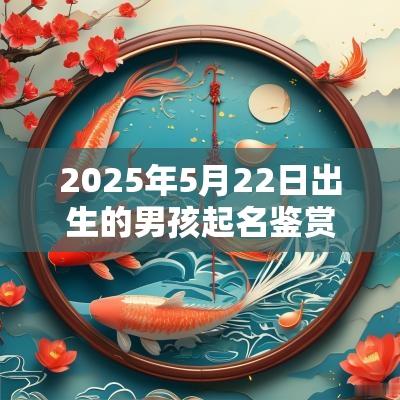 2025年5月22日出生的男孩起名鉴赏满分名分享