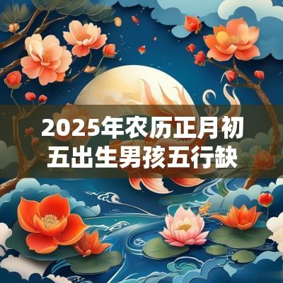 2025年农历正月初五出生男孩五行缺土取名出类拔萃