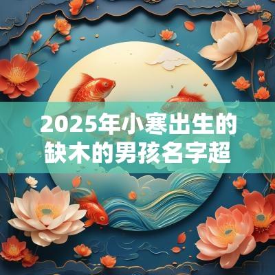 2025年小寒出生的缺木的男孩名字超好听的名字合集